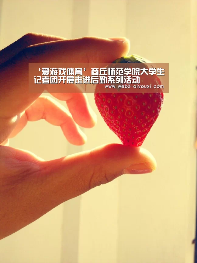 爱游戏体育app
