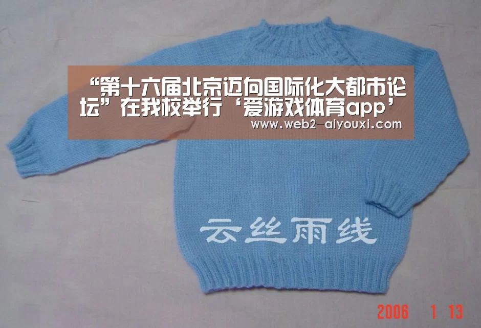 “第十六届北京迈向国际化大都市论坛”在我校举行‘爱游戏体育app’(图1) 爱游戏体育