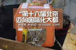 “第十六届北京迈向国际化大都市论坛”在我校举行‘爱游戏体育app’(图3) 爱游戏体育