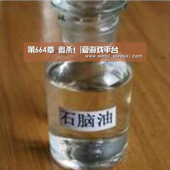第664章 追杀!|爱游戏平台(图2) 爱游戏体育