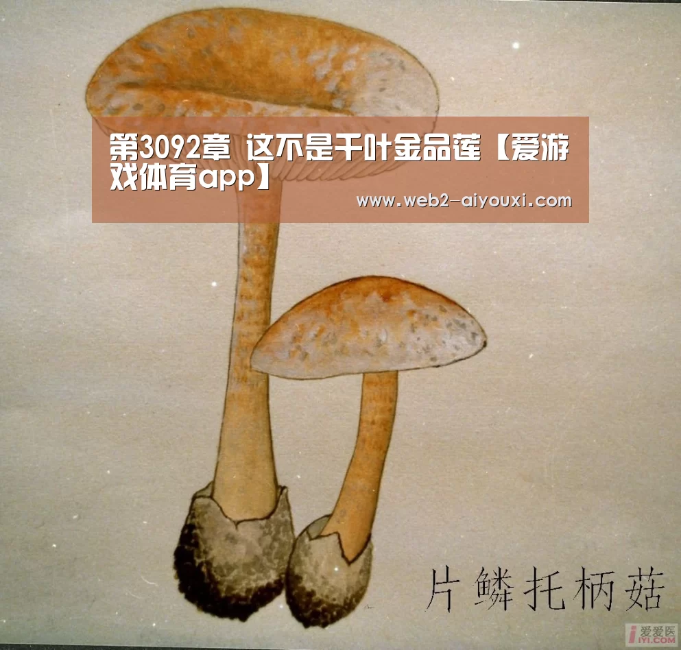 第3092章 这不是千叶金品莲【爱游戏体育app】(图1) 第3092章 这不是千叶金品莲【爱游戏体育app】(图1)