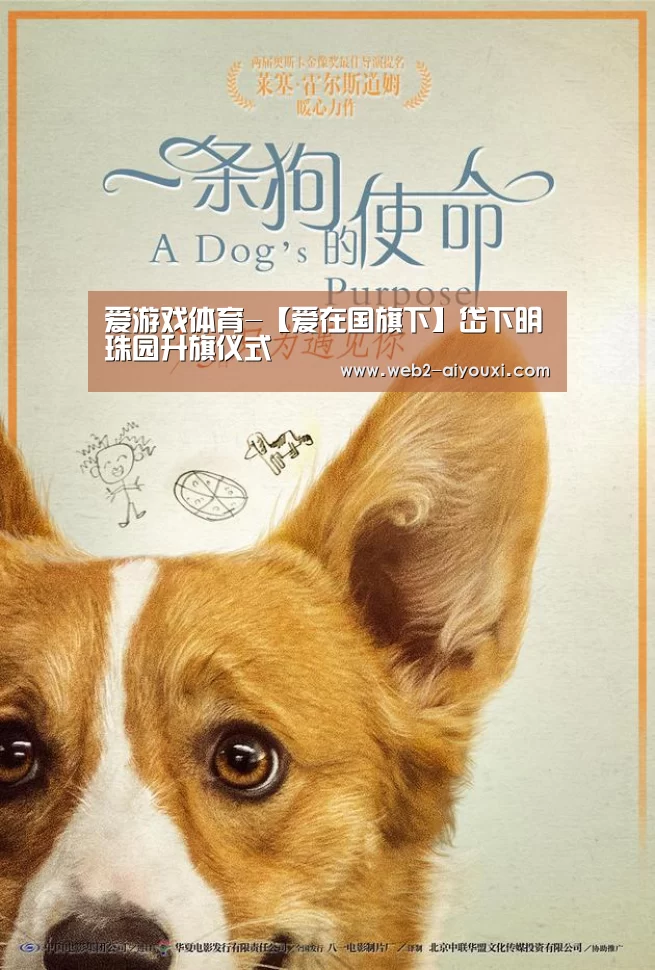 爱游戏体育